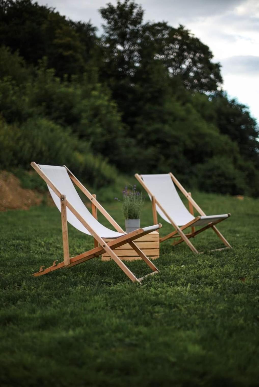 Apartment Roku 2025 !! Spa & Relax Jelen & Natura Kudowa-Zdroj Bagian luar foto